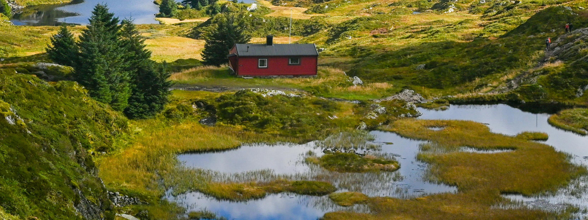 LAFOLI - Where madness lives